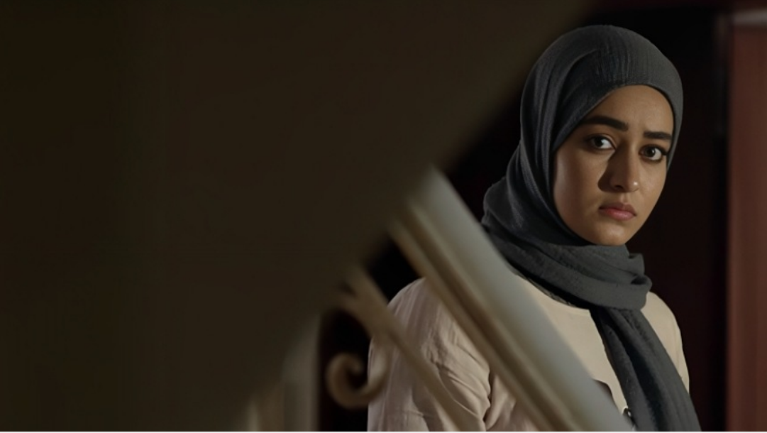 نگاهی به برنامه های متنوع تلویزیونی