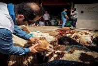 فعالیت ۹۶ گروه شرعی و بهداشتی دامپزشکی خوزستان در تاسوعا و عاشورای حسینی