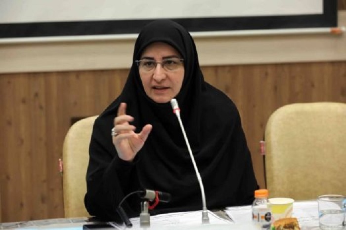 برگزاری کارگاه کشوری توانمندسازی نیروی انسانی آموزش ابتدایی