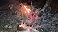کنترل آتش سوزی در منطقه دشتک در شهرستان دنا