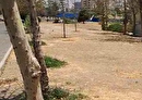 آبیاری فضای سبز شهرک شهید باقری درخواست شهروندان شد
