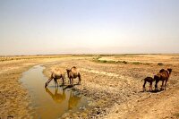 باید بیاموزیم که  چه تغییراتی را متناسب با تغییر اقلیم انجام دهیم
