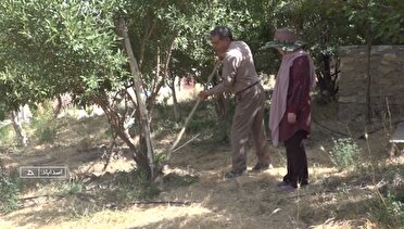 آباد شدن دوباره ۵۰ هکتار از زمین‌های روستای رسول آباد