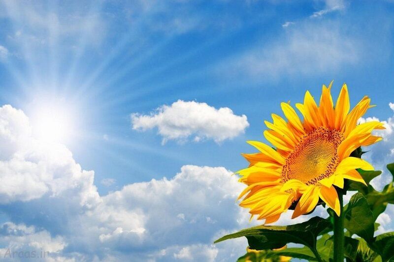 ماندگاری هوای گرم در استان یزد