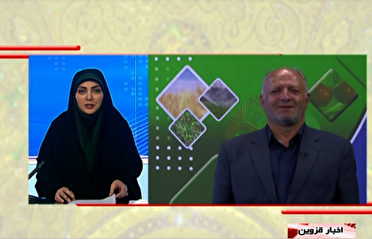 خرید تضمینی گندم در استان قزوین از مرز ۱۴۰ هزار تن گذشت