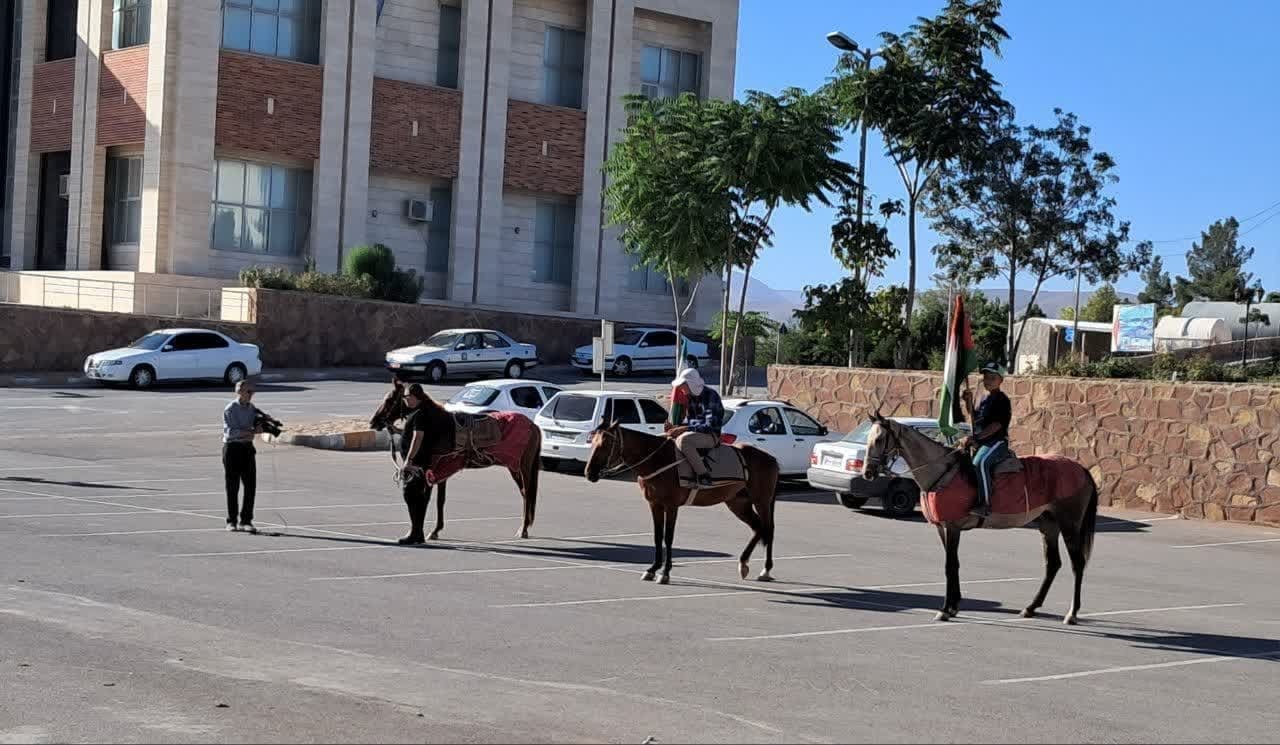 قدم‌هایی از عشق و ارادت؛ ۲۶۰ کیلومتر ارادت تا مشهد