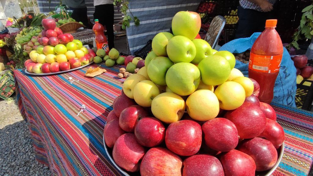 سیب مشگین‌شهر با جشنواره ملی معرفی شد