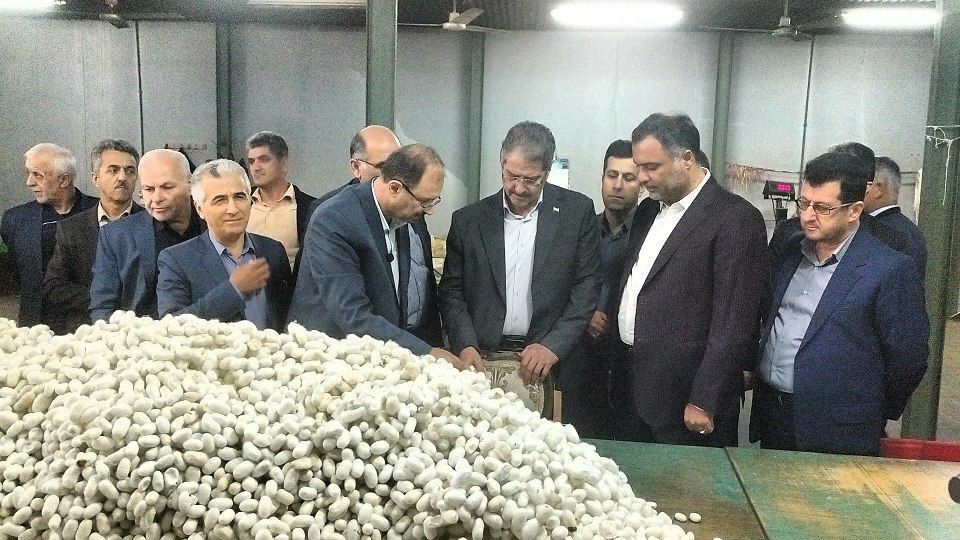 راه اندازی رشته آموزشی صنعت نساجی در دانشکده ملی ملی مهارت صومعه سرا، بزودی