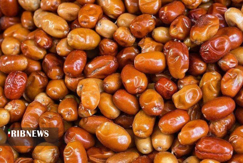 آذربایجان شرقی رتبه نخست کشور در تولید سنجد آذربایجان شرقی رتبه نخست کشور در تولید سنجد