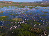 گردشگری در حریم رودخانه
