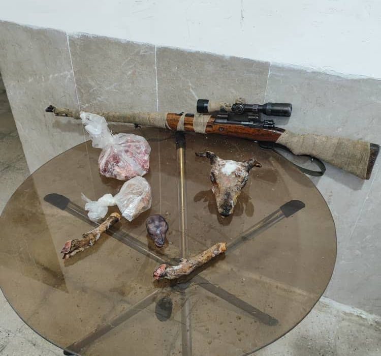 کشف محموله سلاح غیرمجاز و شکار در فسا