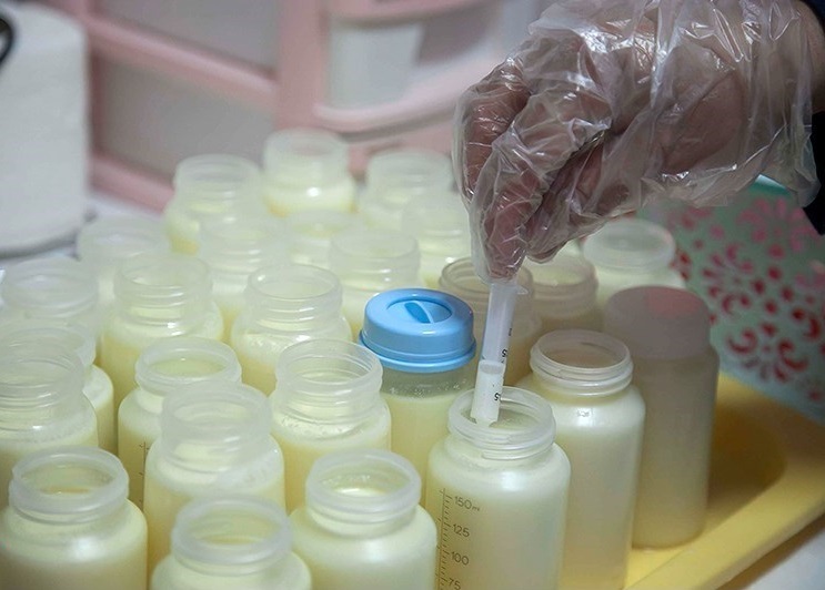 شیر مادر سرمایه بانک شیر خوزستان شیر مادر سرمایه بانک شیر خوزستان