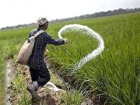 صدور بیش از ۵۲ هزار حواله الکترونیک کود شیمیایی یارانه‌ای در چهارمحال و بختیاری
