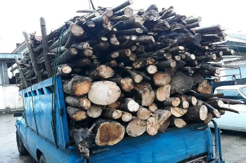 توقیف وانت نیسان حامل چوب فاقد مجوز در بوانات توقیف وانت نیسان حامل چوب فاقد مجوز در بوانات