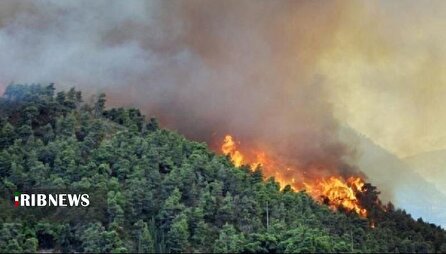 آخرین خبر از آتش سوزی در جنگل‌های شمال کشور