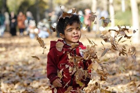 جشنواره برگریزان پاییز در رزن جشنواره برگریزان پاییز در رزن