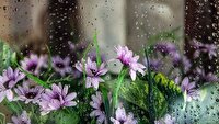 ادامه رگبارهای بهاری و احتمال بارش تگرگ در زنجان