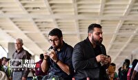 نمايش لونه زنبورها در كيش