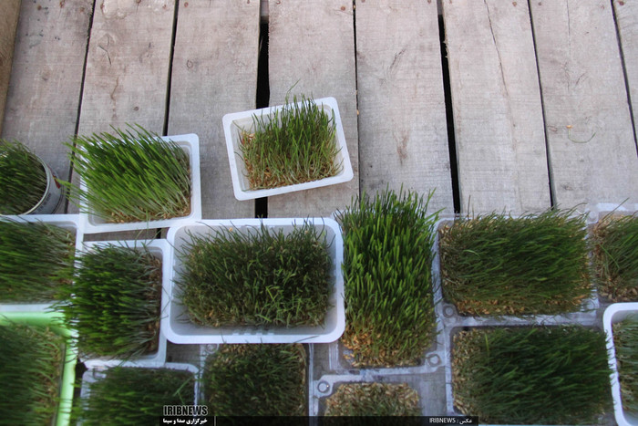 جلوه های زیبای عید 97 در اردبیل