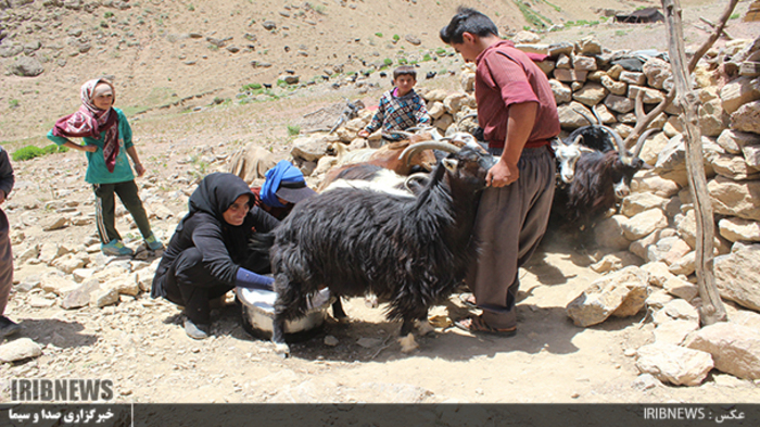 در مناطق عشایری لرستان زندگی جاری است