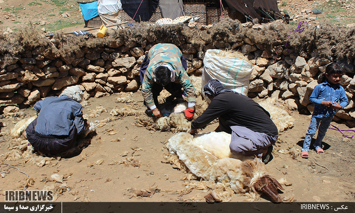 زندگی در مناطق عشایری  لرستان 