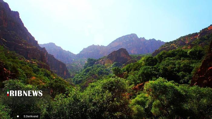 آبشار چم چیت (آبشار آب گرمه )

عکس: سعیده دریکوند