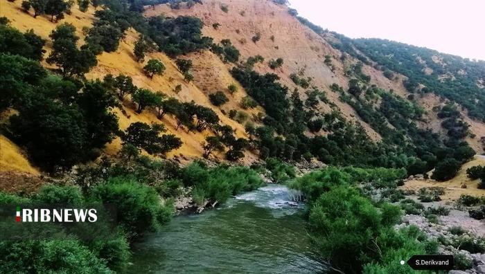 آبشار چم چیت (آبشار آب گرمه )

عکس: سعیده دریکوند