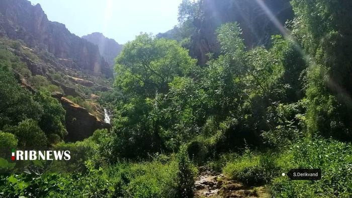 آبشار چم چیت (آبشار آب گرمه )

عکس: سعیده دریکوند