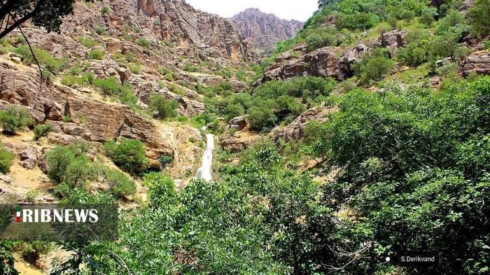 آبشار چم چیت (آبشار آب گرمه )

عکس: سعیده دریکوند