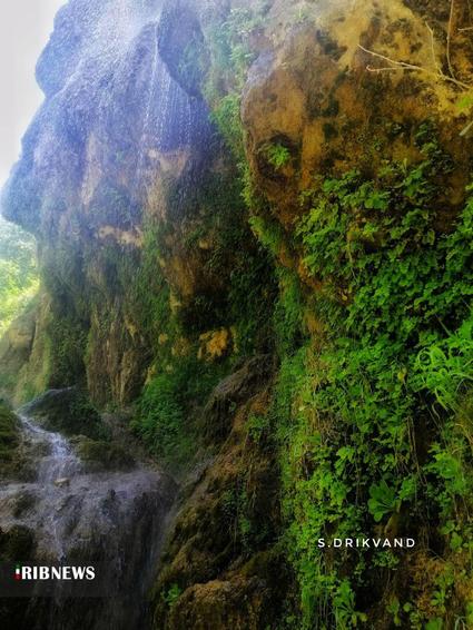 آبشار چم چیت (آبشار آب گرمه )

عکس: سعیده دریکوند