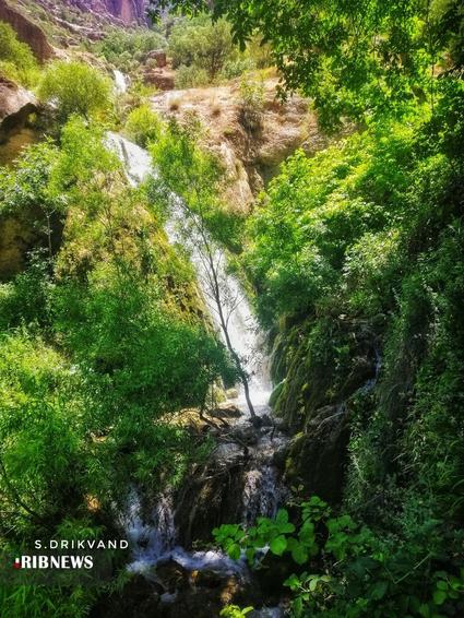 آبشار چم چیت (آبشار آب گرمه )

عکس: سعیده دریکوند