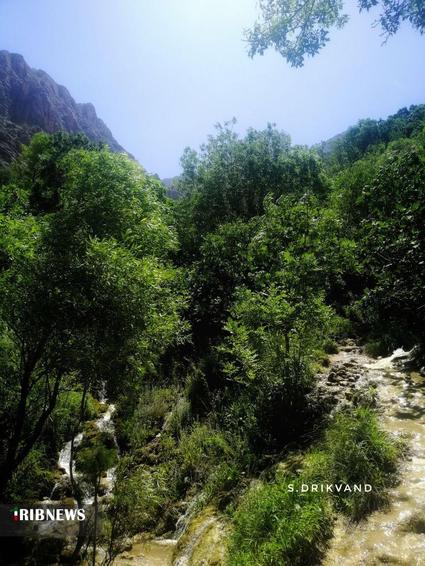 آبشار چم چیت (آبشار آب گرمه )

عکس: سعیده دریکوند