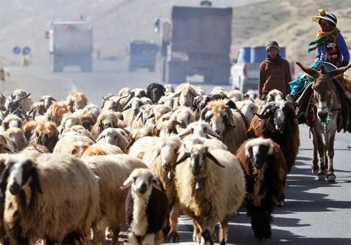 سنگ بزرگ تصرف ایلراه ها و پای لنگ عشایر