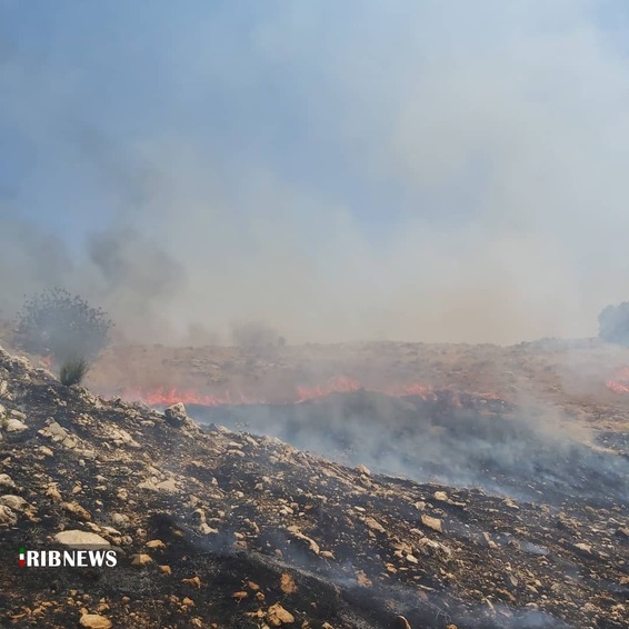 مهار آتش سوزی در ارتفاعات خائیز کهگیلویه